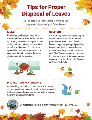 Optional Methods for Leaf Disposal