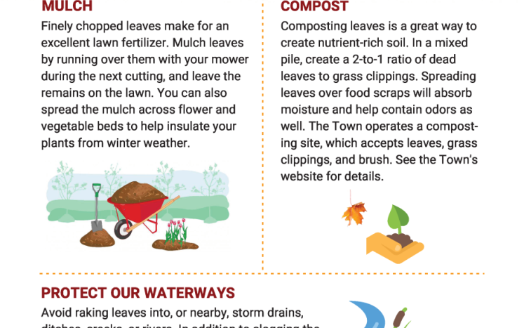 2022 Leaf Disposal Tips